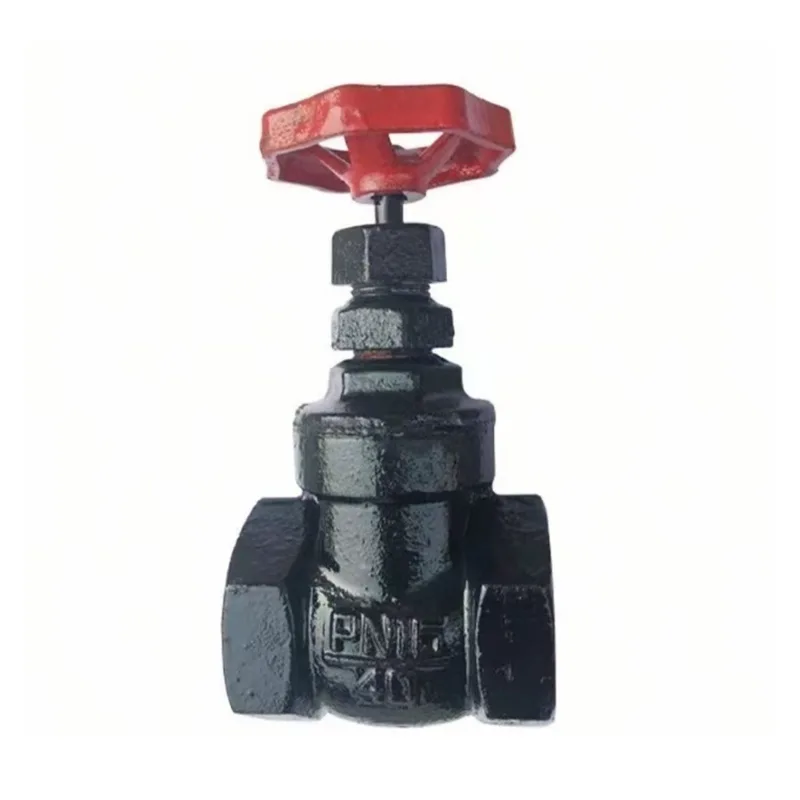 Cast Iron Globe Valve